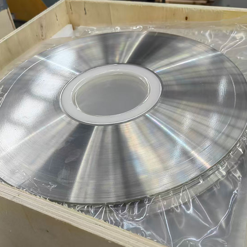 Striscia a molla in acciaio inossidabile 301