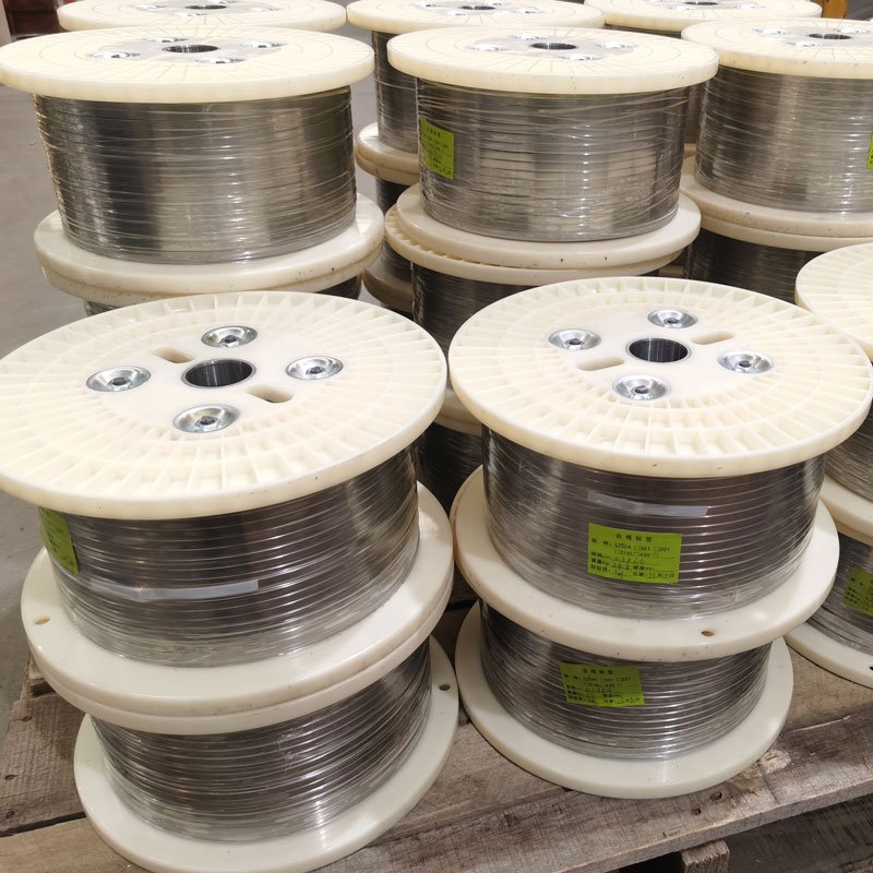 Striscia a molla in acciaio inossidabile 304