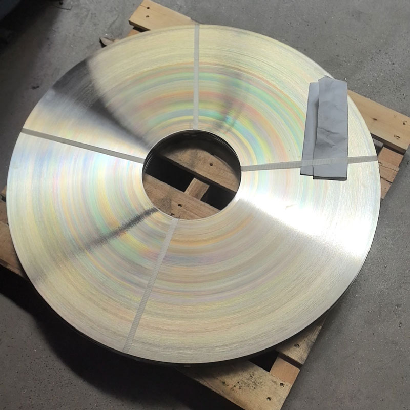 Thin Stainless Steel Spring Strips