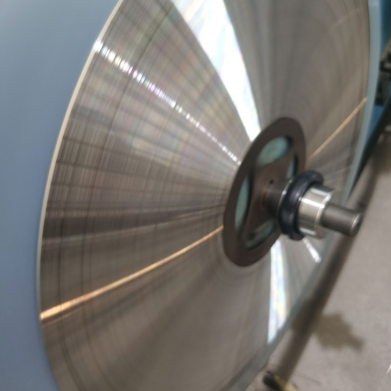 Strisce sottili a molla in acciaio inossidabile